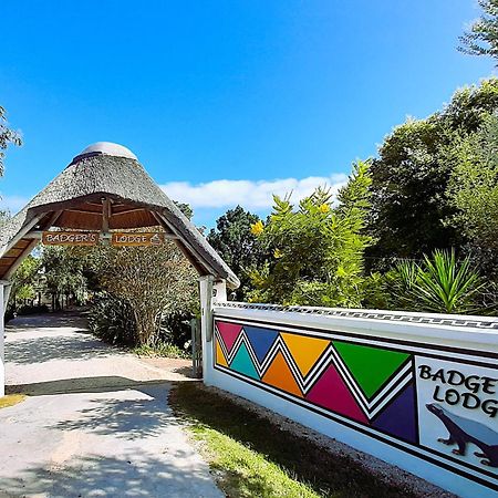 Badger'S Lodge Knysna Extérieur photo