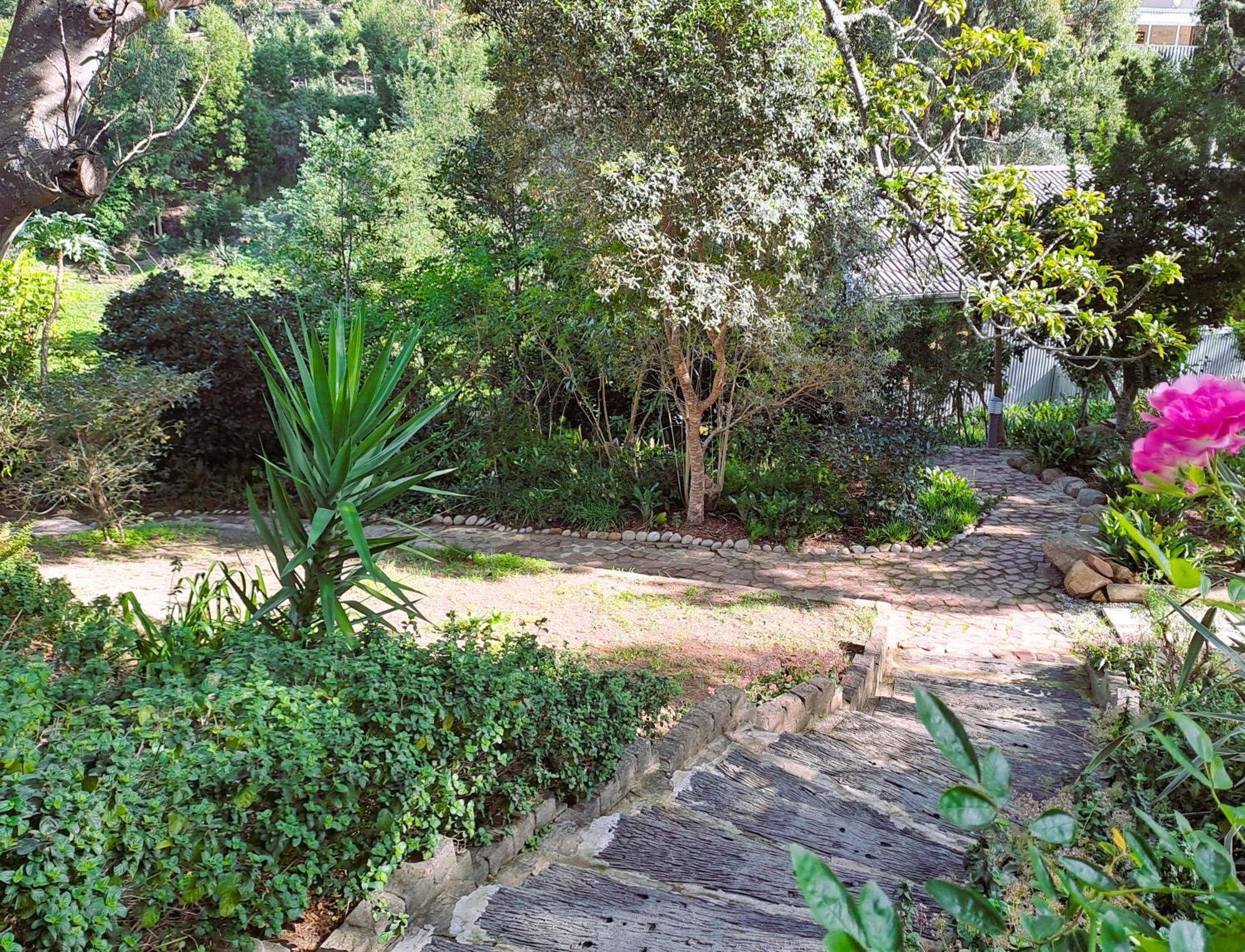 Badger'S Lodge Knysna Extérieur photo