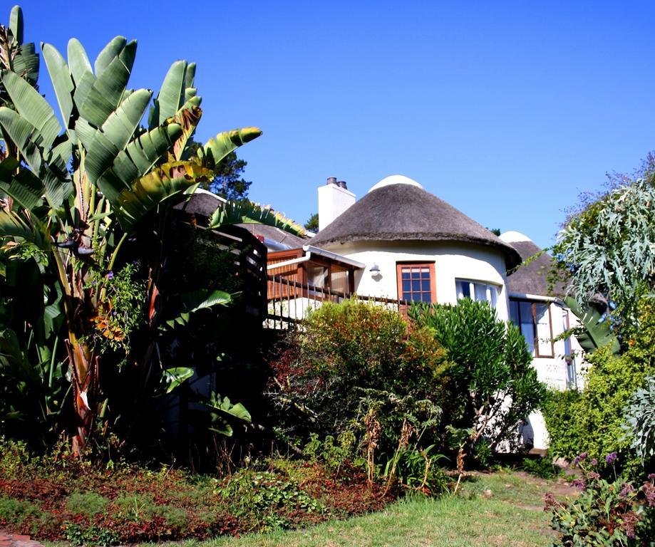 Badger'S Lodge Knysna Extérieur photo
